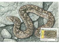 Пощенска карта-максимум - Змии - Турска боа, Пясъчница