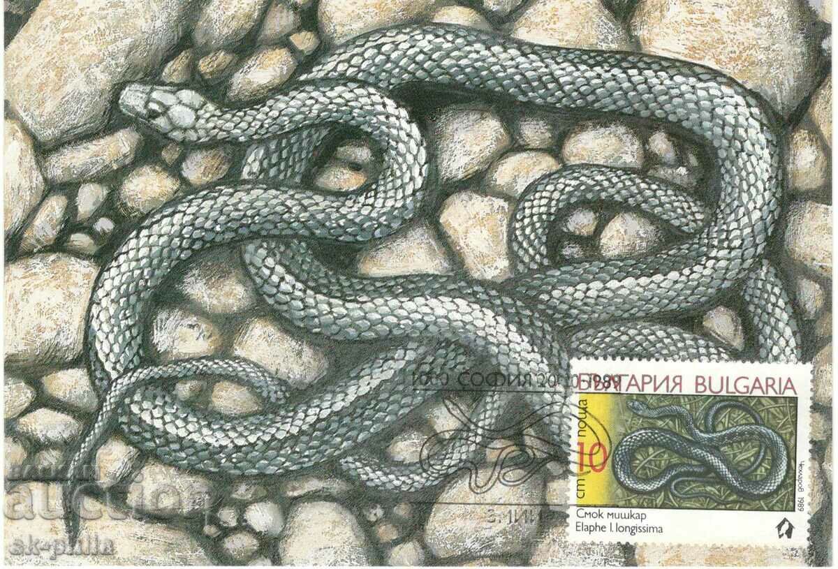 Пощенска карта-максимум - Змии - Смок мишкар