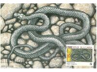 Postcard-maximum - Snakes - Smoke mouse