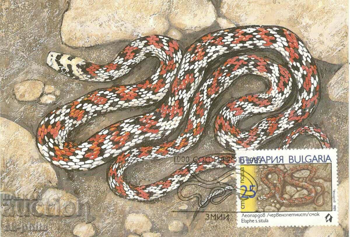 Пощенска карта-максимум - Змии - Леопардов смок