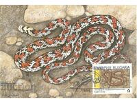 Пощенска карта-максимум - Змии - Леопардов смок