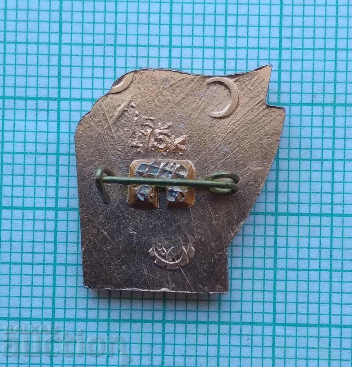 Auction 14016 Badge - Leningrad city hero Auction 14016 Badge - Leningrad city hero