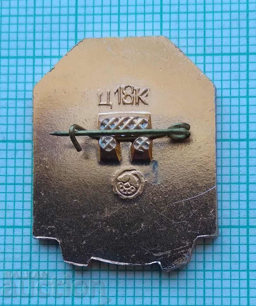 Licitație 14034 Insigna Licitație 14034 Insigna