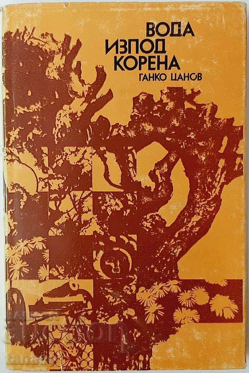 Water from under the root, Ganko Tsanov(20.3) Water from under the root, Ganko Tsanov(20.3)