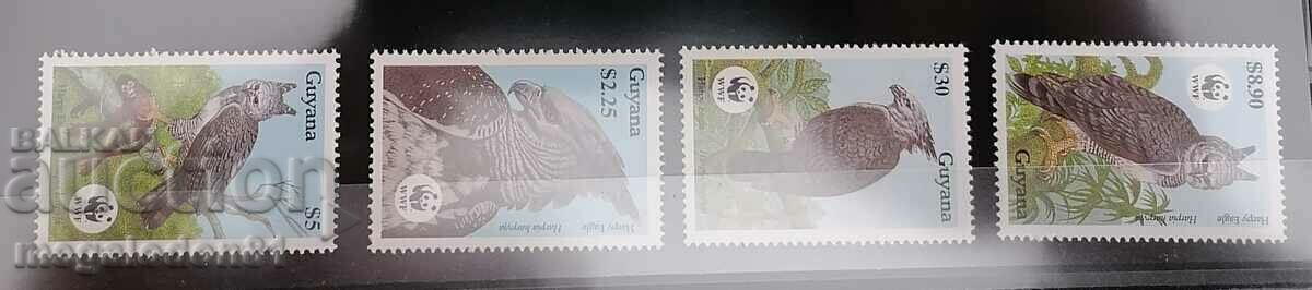 Guyana - WWF Harpy Eagle