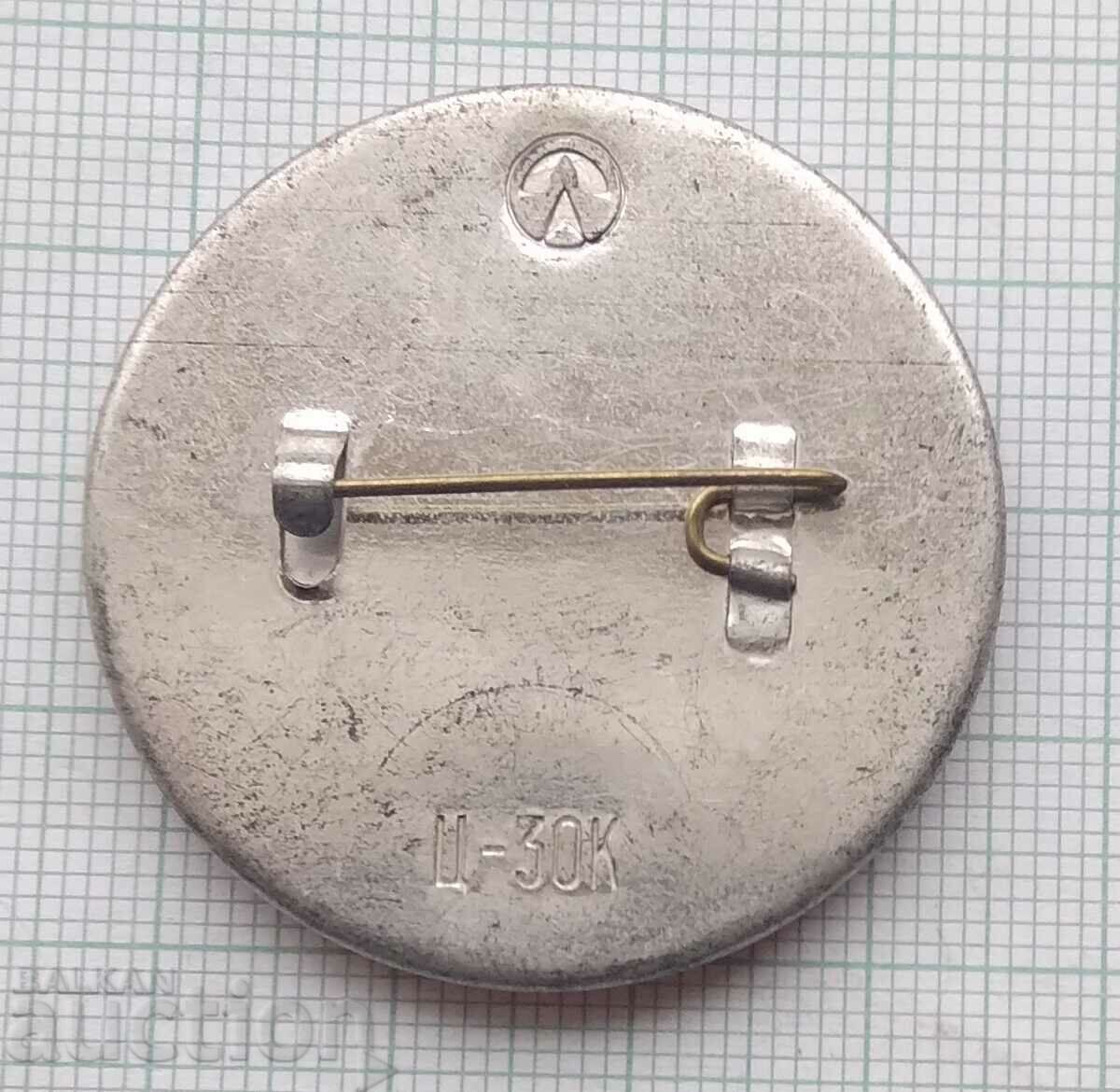 Auction 14107 Badge - Cameron Gallery - Leningrad Auction 14107 Badge - Cameron Gallery - Leningrad