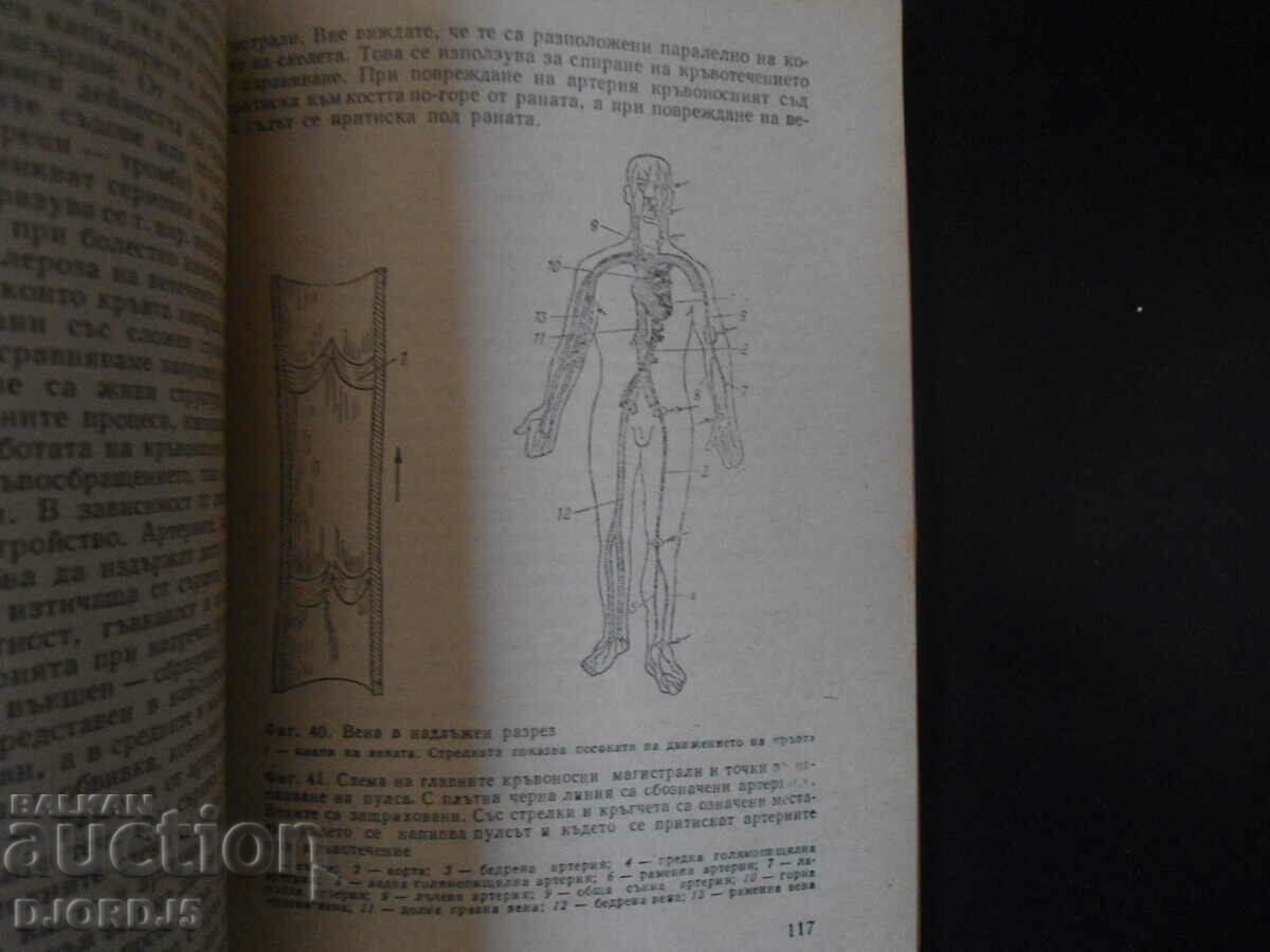 Do you know yourself, I. S. Guilbault with price 7.00 BGN | € 3.58 Do you know yourself, I. S. Guilbault with price 7.00 BGN | € 3.58