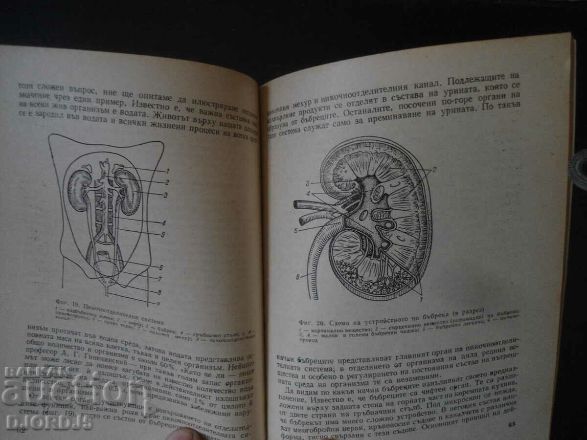 Auction Do you know yourself, I. S. Guilbault Auction Do you know yourself, I. S. Guilbault