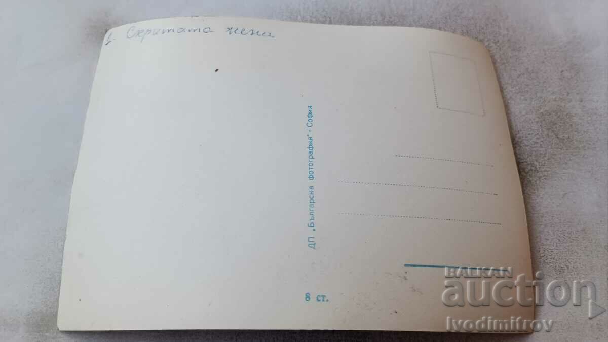 Postcard Maria Felix with price 0.85 BGN | € 0.43 Postcard Maria Felix with price 0.85 BGN | € 0.43