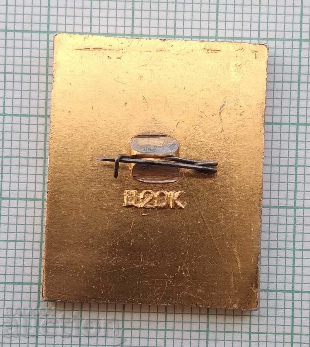 Licitație 14157 Insigna - Sukhumskaya Turbaza