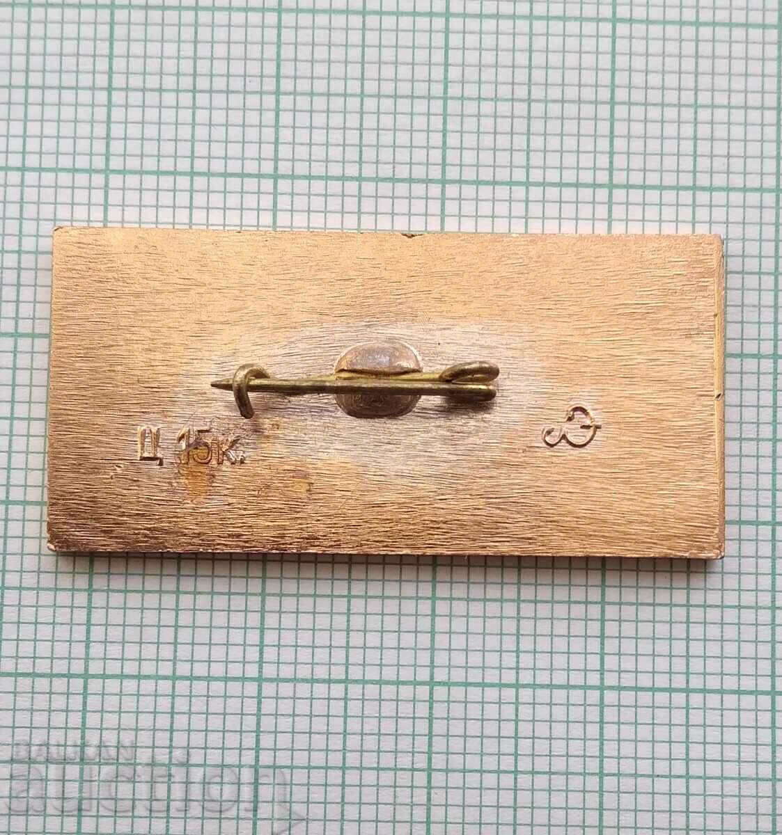 Доставка на 14178 Значка