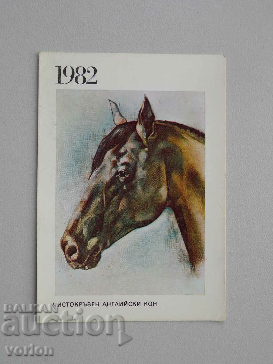 Ημερολόγιο: Thoroughbred English Horse - 1982