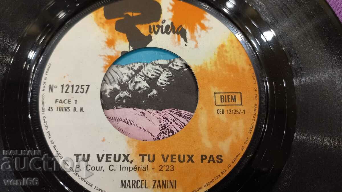 Auction Gramophone record - small format Zanini Auction Gramophone record - small format Zanini