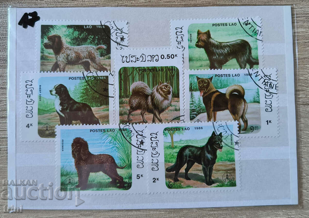 Laos Fauna Animals Dogs 1986