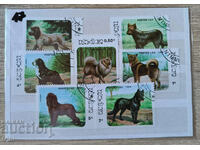 Laos Fauna Animals Dogs 1986