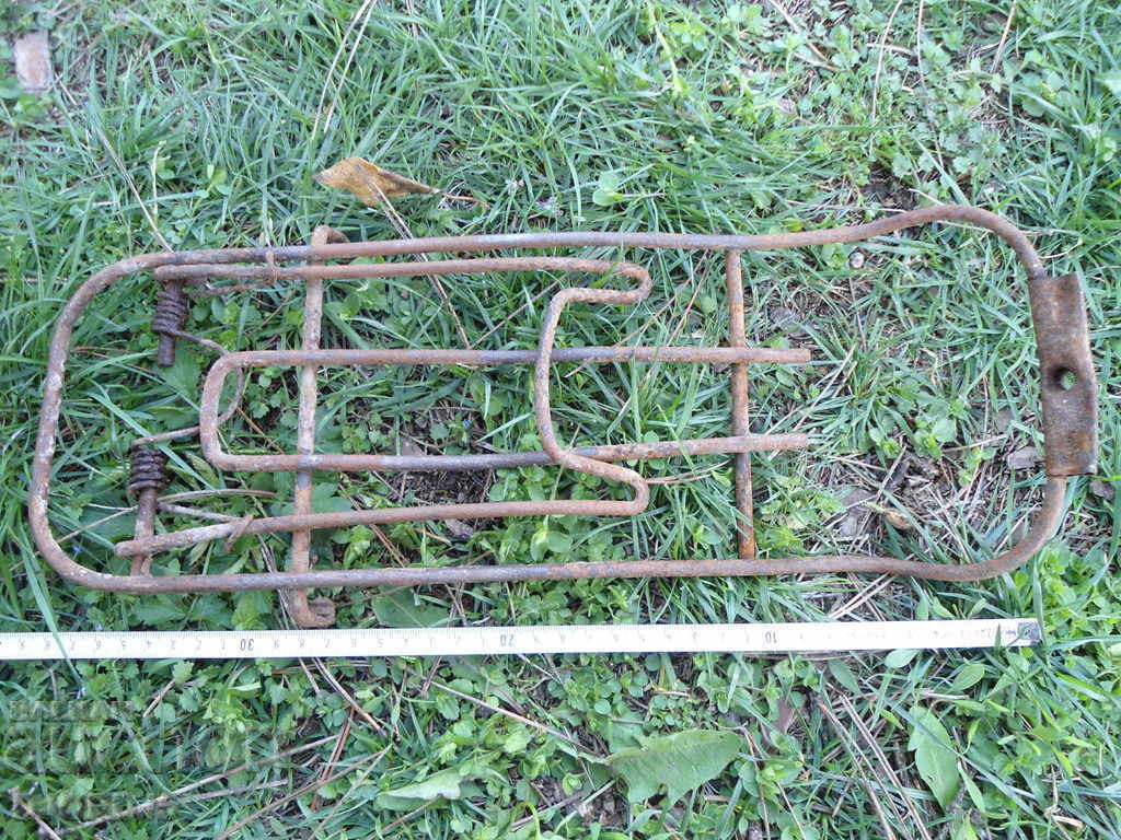 Trunk from an old bicycle - 5 Trunk from an old bicycle - 5