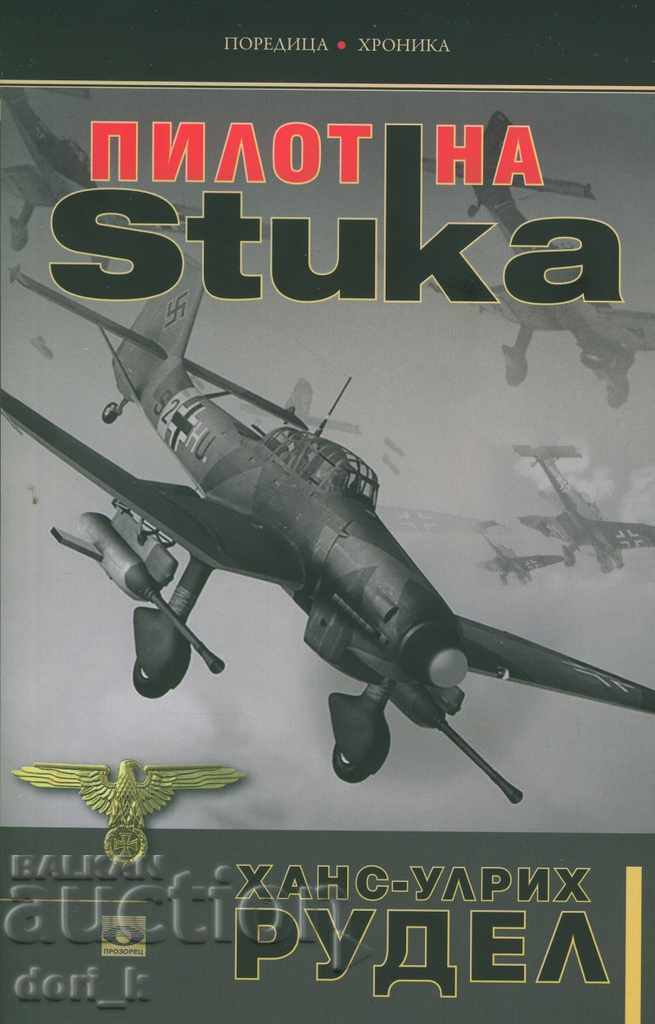 Pilot Stuka
