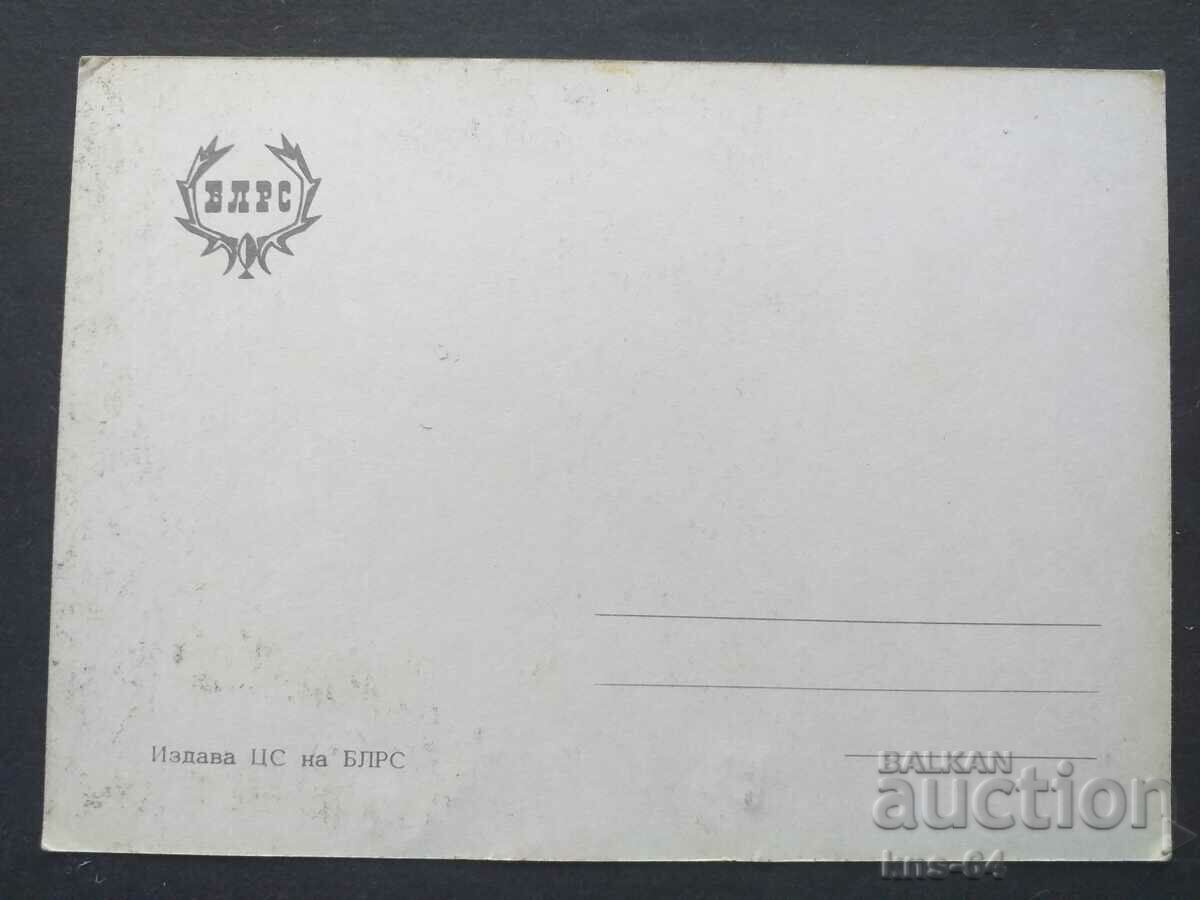 BLRS with price 0.80 BGN | € 0.41 BLRS with price 0.80 BGN | € 0.41