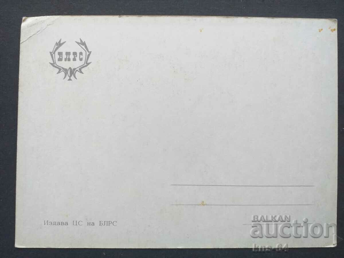 BLRS with price 0.80 BGN | € 0.41 BLRS with price 0.80 BGN | € 0.41