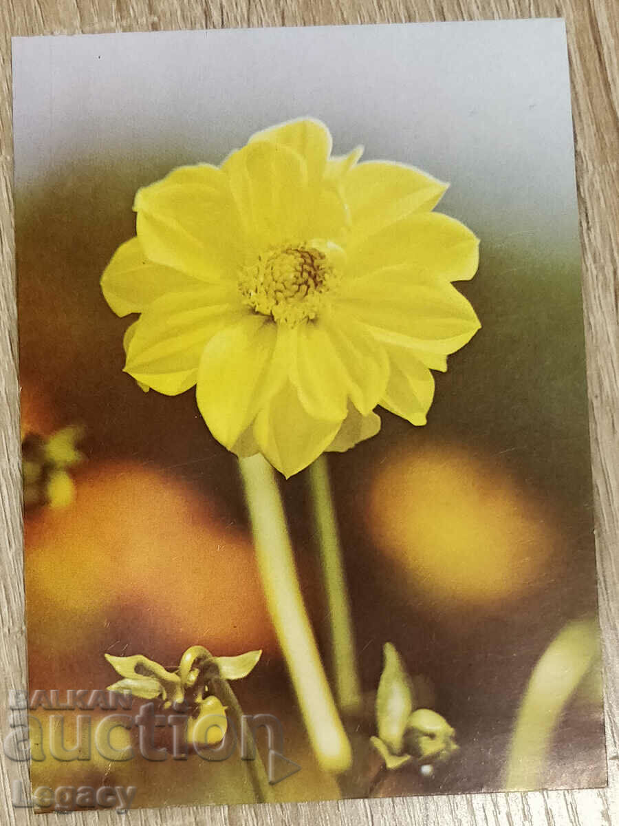 SIGNED Soc Greeting Card 1987