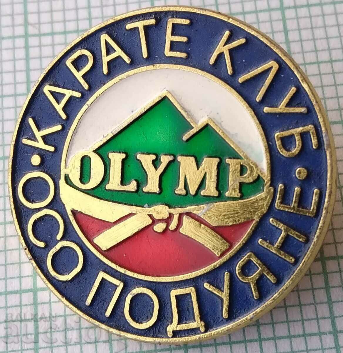 14400 Badge - karate club Olimr - Swelling