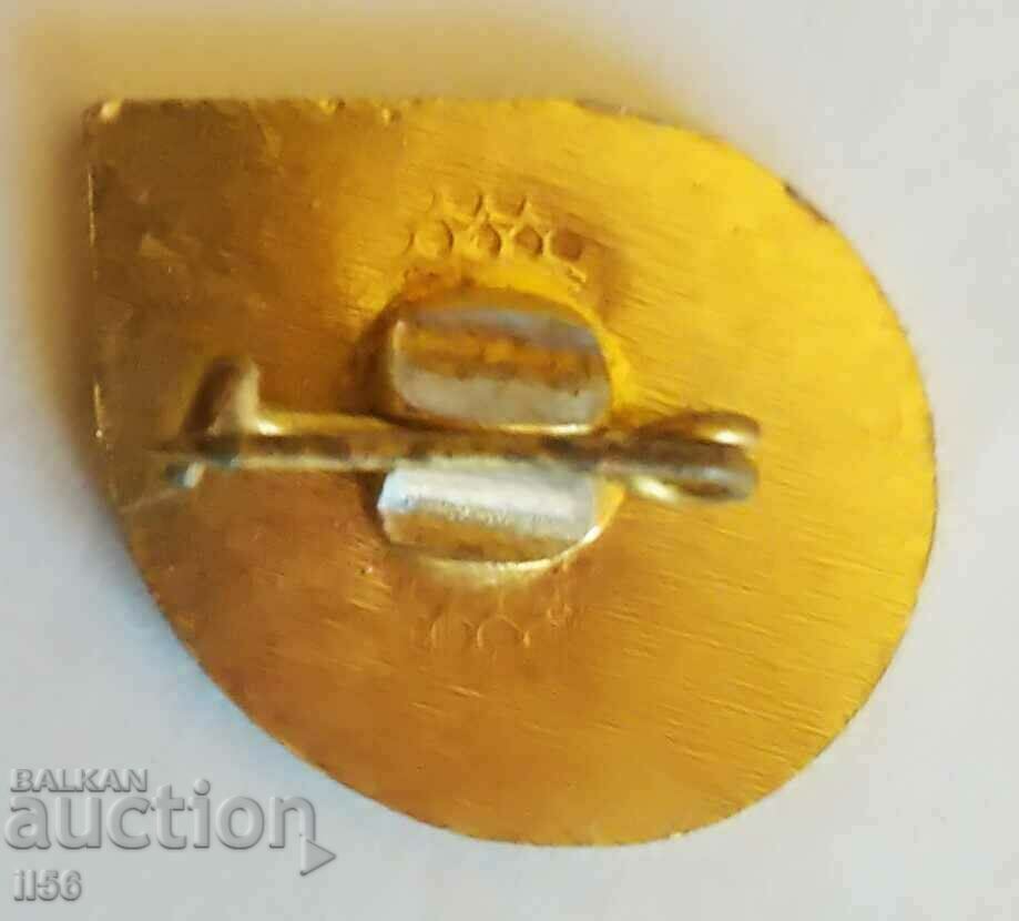 Insigna - 100 de ani de muzeu - Gabrovo cu preț 1.00 BGN | € 0.51