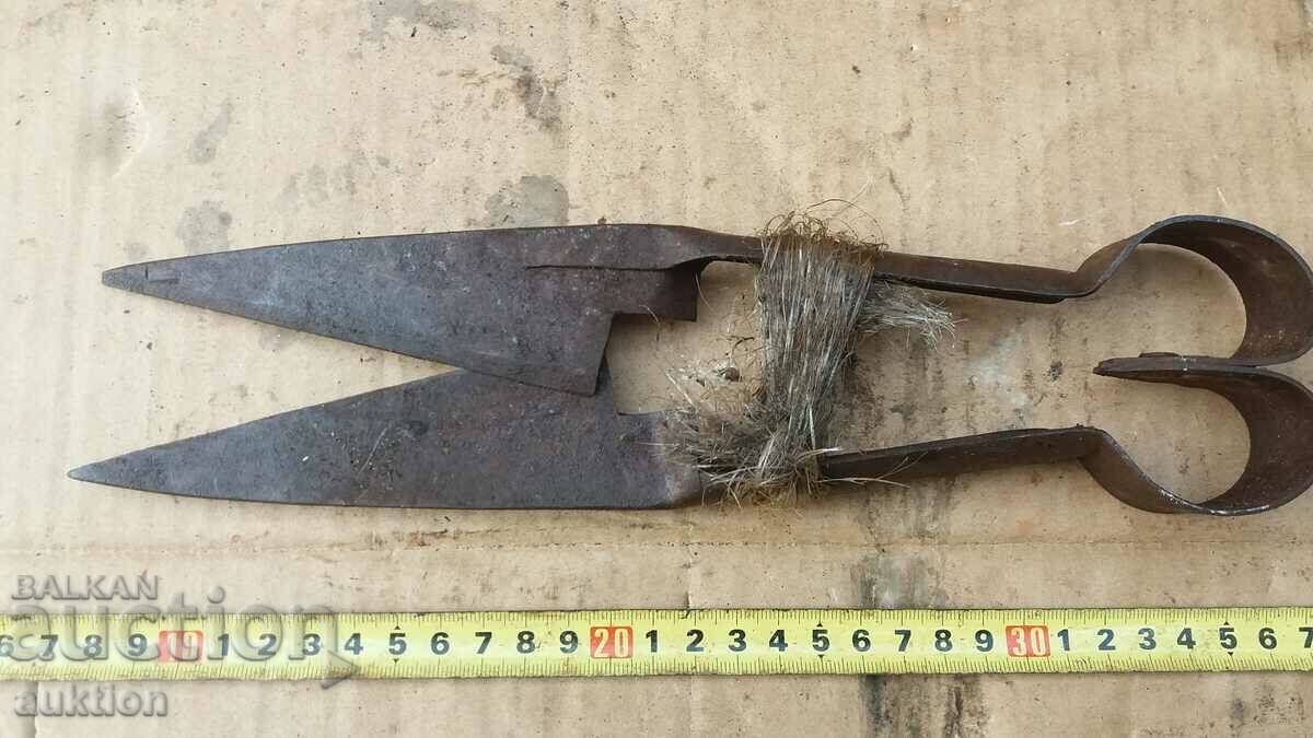 Аукцион СТАРА НОЖИЦА ЗА СТРИГАНЕ НА ОВЦЕ Аукцион СТАРА НОЖИЦА ЗА СТРИГАНЕ НА ОВЦЕ