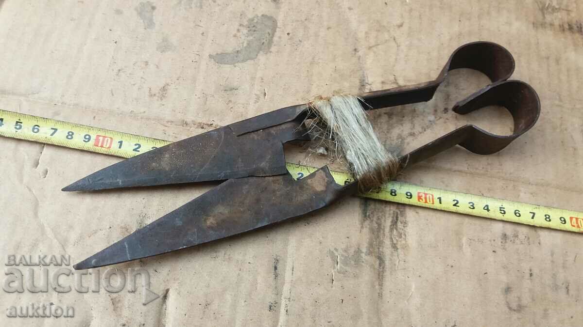 СТАРА НОЖИЦА ЗА СТРИГАНЕ НА ОВЦЕ - 6 СТАРА НОЖИЦА ЗА СТРИГАНЕ НА ОВЦЕ - 6