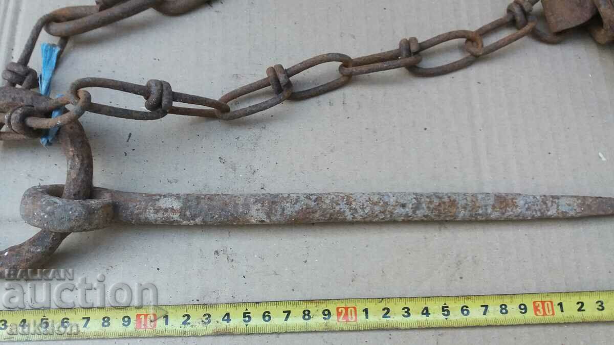 Livrarea PANE FORJATĂ SOLID, CUBA DE ANIMALE Livrarea PANE FORJATĂ SOLID, CUBA DE ANIMALE