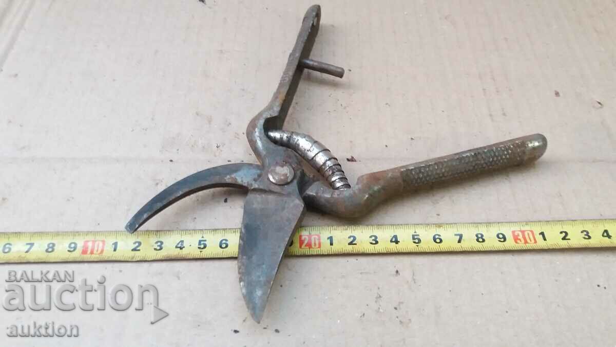 Delivery of EXCELLENT VINEYARD SCISSORS Delivery of EXCELLENT VINEYARD SCISSORS