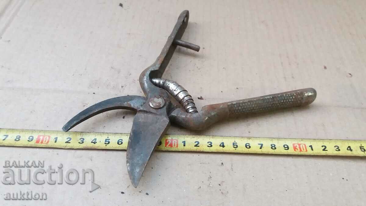 EXCELLENT VINEYARD SCISSORS - 6 EXCELLENT VINEYARD SCISSORS - 6