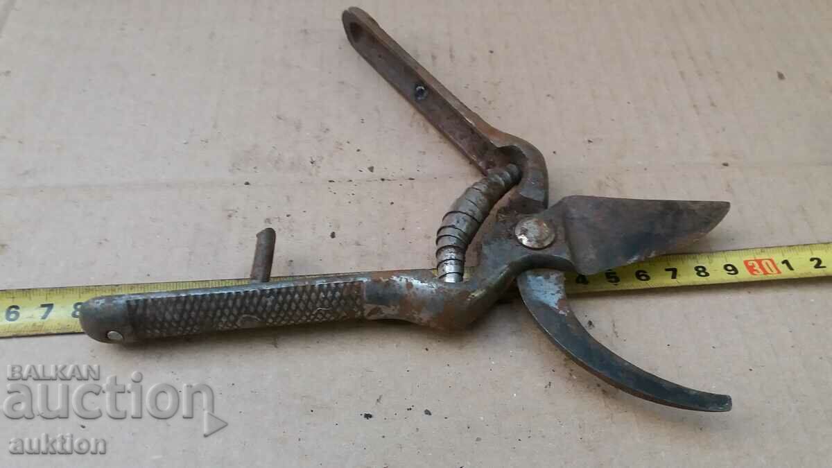 EXCELLENT VINEYARD SCISSORS - 7 EXCELLENT VINEYARD SCISSORS - 7