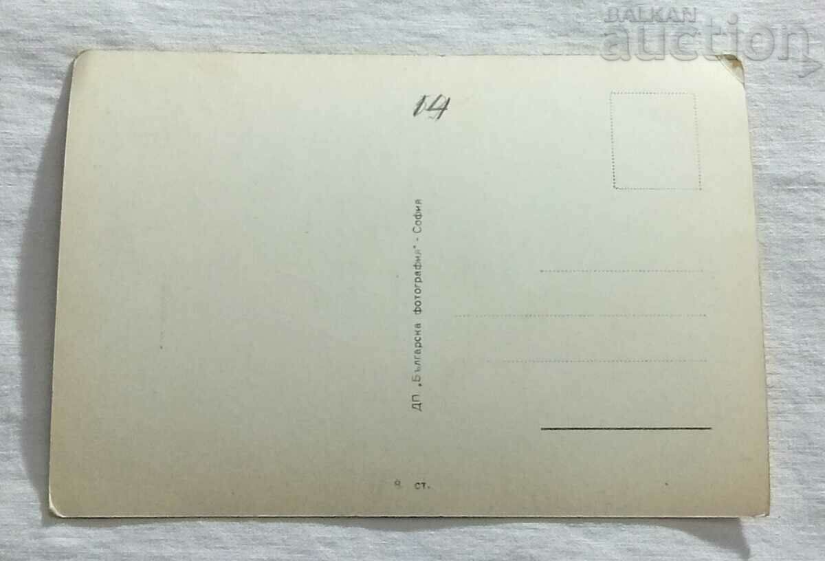 SASHA KRUSHARSKA BG ACTRESS P.K. 196.. d. with price 1.00 BGN | € 0.51 SASHA KRUSHARSKA BG ACTRESS P.K. 196.. d. with price 1.00 BGN | € 0.51