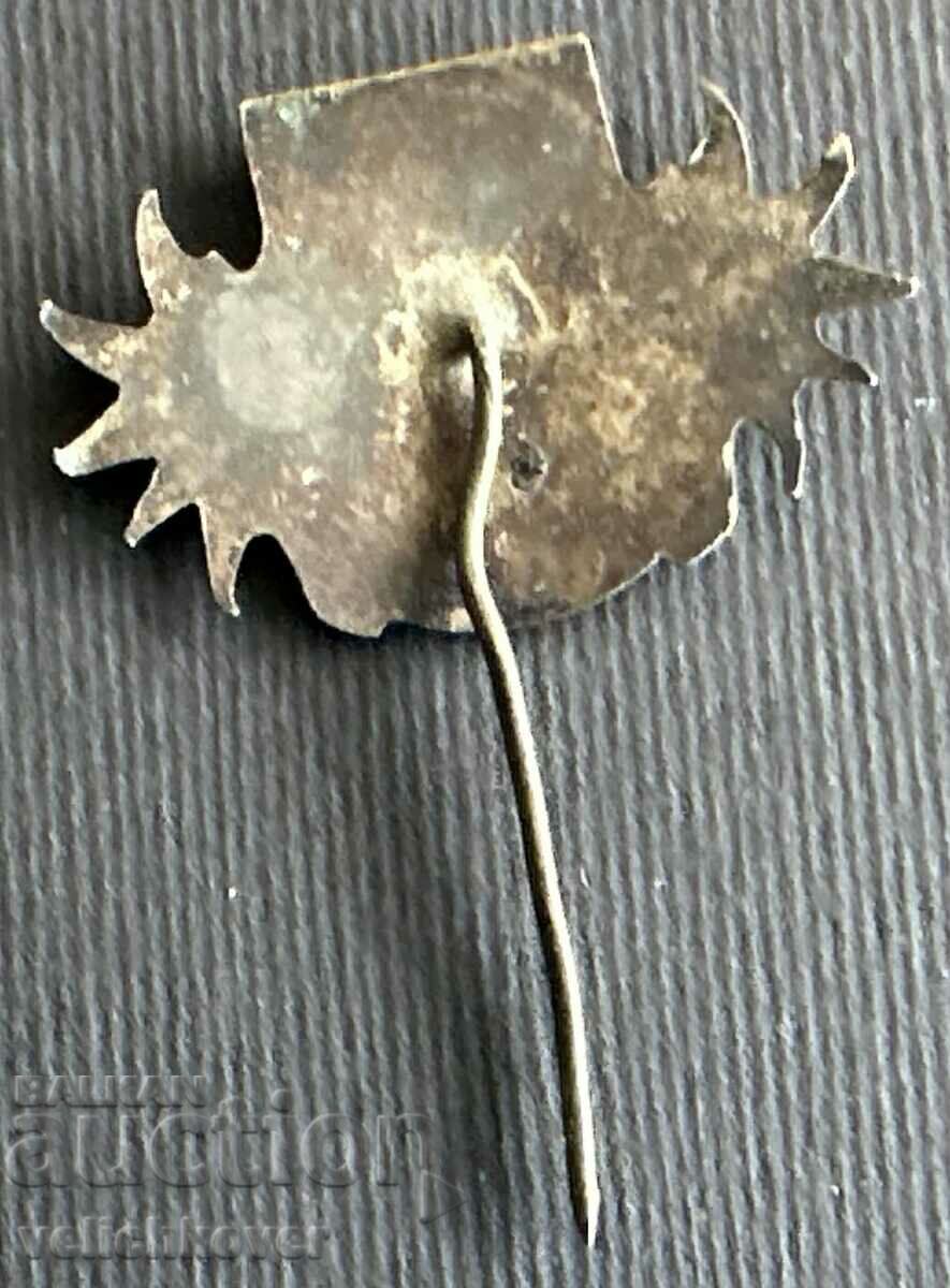 36335 Bulgaria tourist sign BTS Sofia Mr. Ivan Vazov with price 5.00 BGN | € 2.56