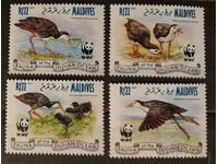 Малдиви 2013 WWF Фауна/Птици 8€ MNH