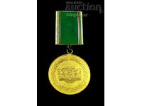 Construction troops-BNA-75 years SV-Jubilee medal