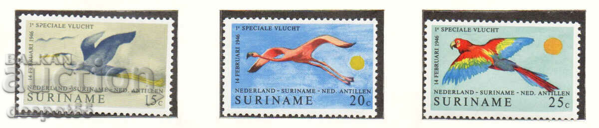1971. Суринам. Птици - въздушна линия Нидерландия-Суринам...