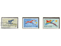1971. Surinam. Păsări - Companiile aeriene Țările de Jos-Surinam...