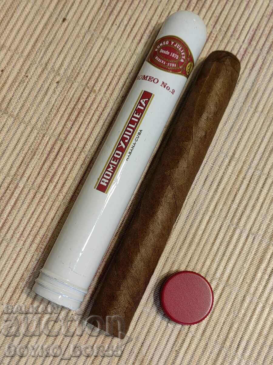 Original Collar Cuban Havana Cigar