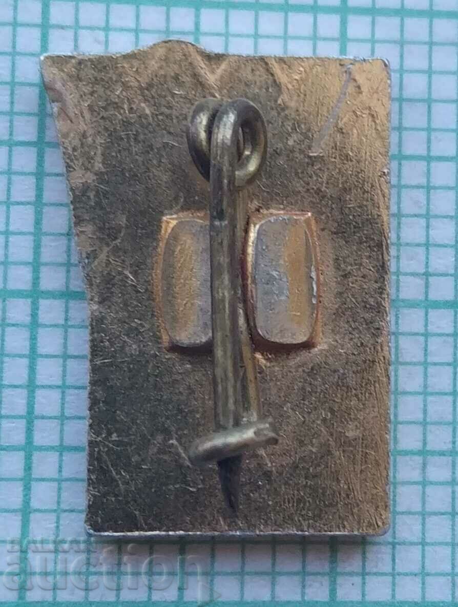 Licitație 14526 Insigna - CM Rodina