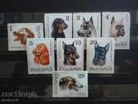 -50% Bulgaria "Dogs" №2087 / 94 from the catalog 1970г.