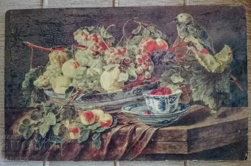 Jan Fitt, "Fruit and Parrot" - old color lithograph with price 35.00 BGN | € 17.90 Jan Fitt, "Fruit and Parrot" - old color lithograph with price 35.00 BGN | € 17.90