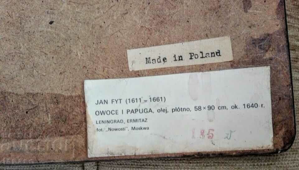 Delivery of Jan Fitt, "Fruit and Parrot" - old color lithograph Delivery of Jan Fitt, "Fruit and Parrot" - old color lithograph