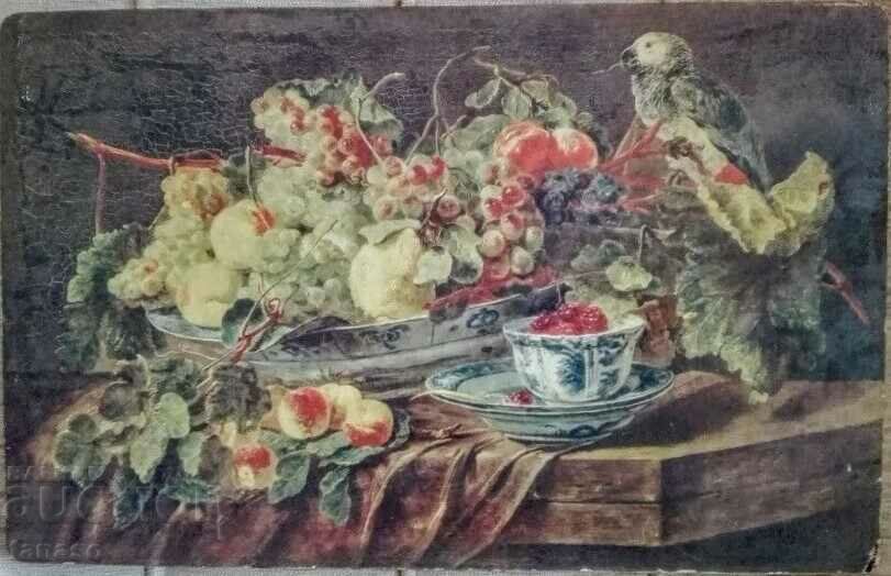 Jan Fitt, "Fruit and Parrot" - old color lithograph