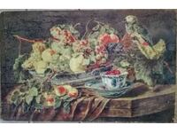 Jan Fitt, "Fruit and Parrot" - old color lithograph