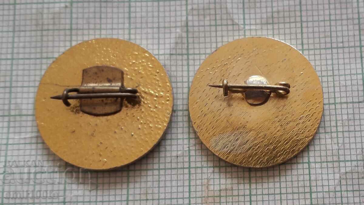 Delivery of Badges 2 pcs. Radio amateurs Delivery of Badges 2 pcs. Radio amateurs