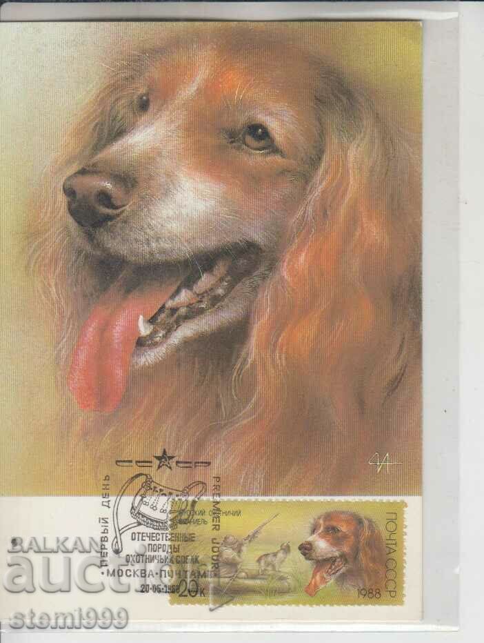 Carte poștală FDC DOGS