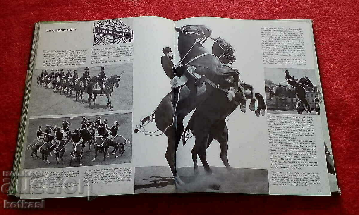 Auction Book The Kingdom of the Horse Jockey hardcover Germany Auction Book The Kingdom of the Horse Jockey hardcover Germany
