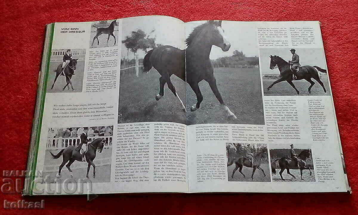 Delivery of Book The Kingdom of the Horse Jockey hardcover Germany Delivery of Book The Kingdom of the Horse Jockey hardcover Germany