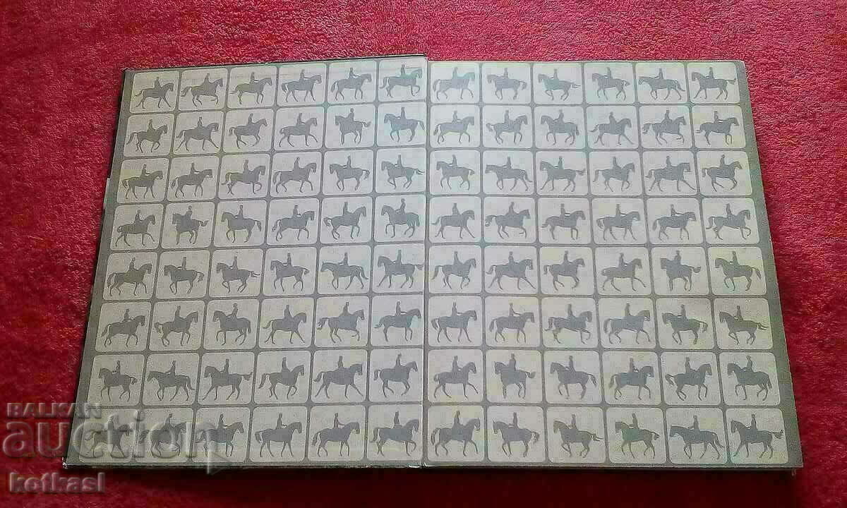 Book The Kingdom of the Horse Jockey hardcover Germany - 7 Book The Kingdom of the Horse Jockey hardcover Germany - 7